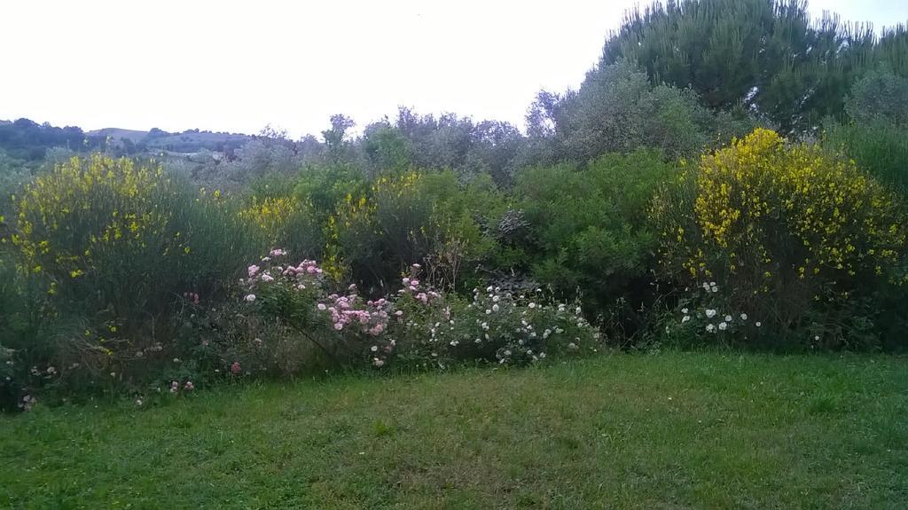 Il Melograno Country House Saturnia Exterior photo