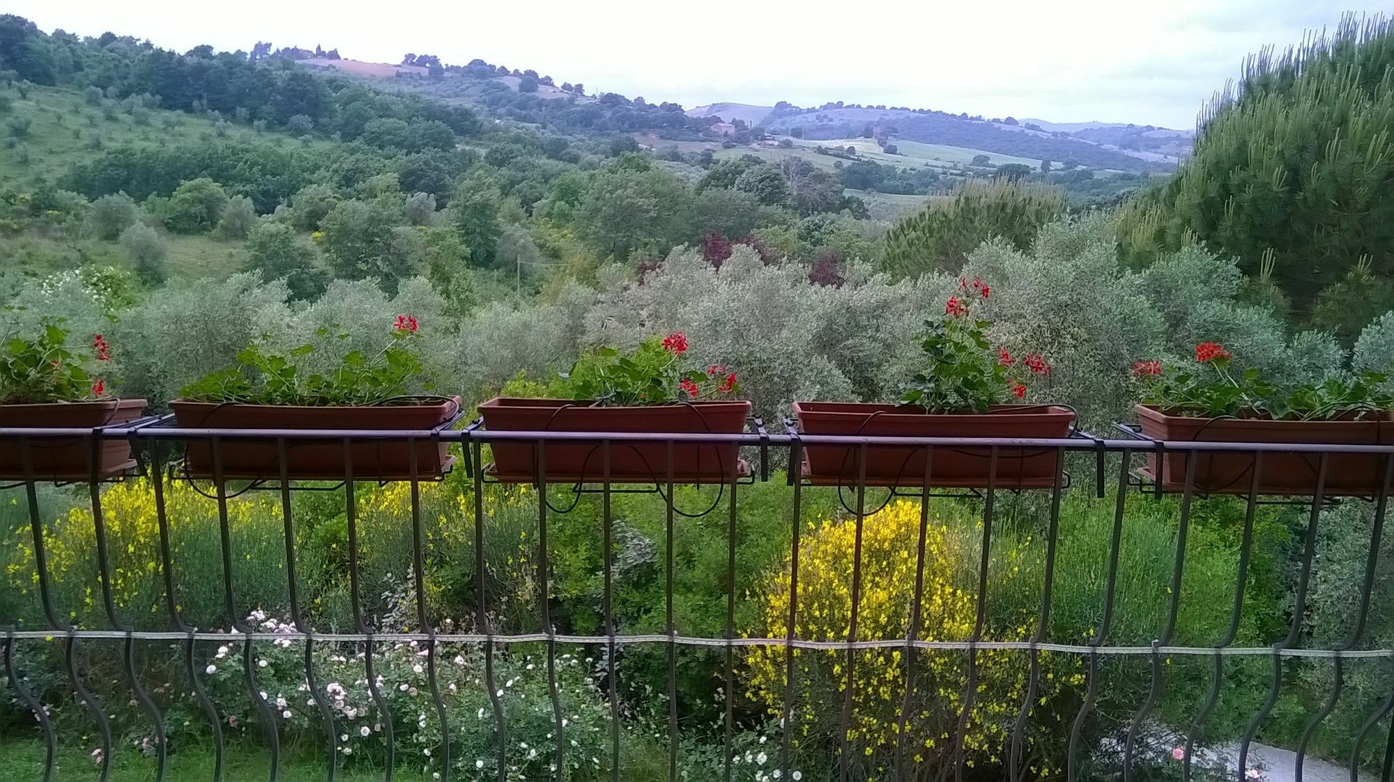 Il Melograno Country House Saturnia Exterior photo